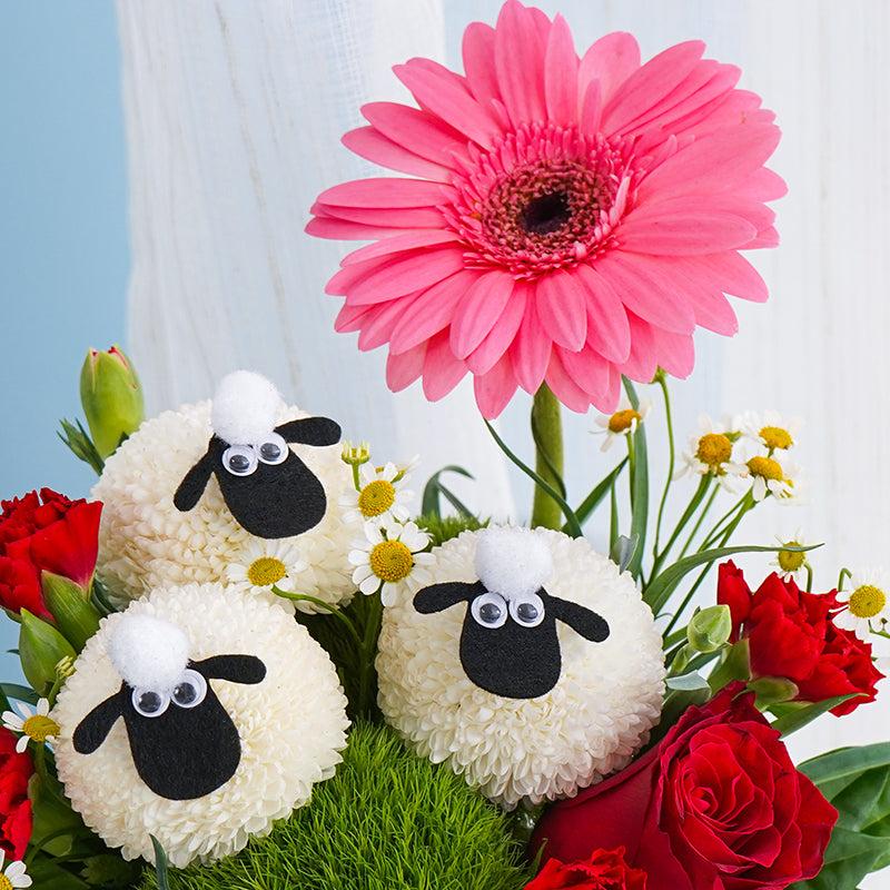 Sheep Blossom