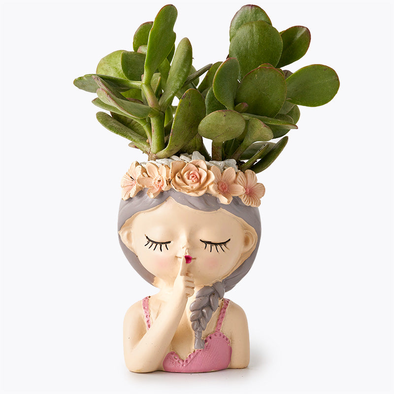 Succulent Princess