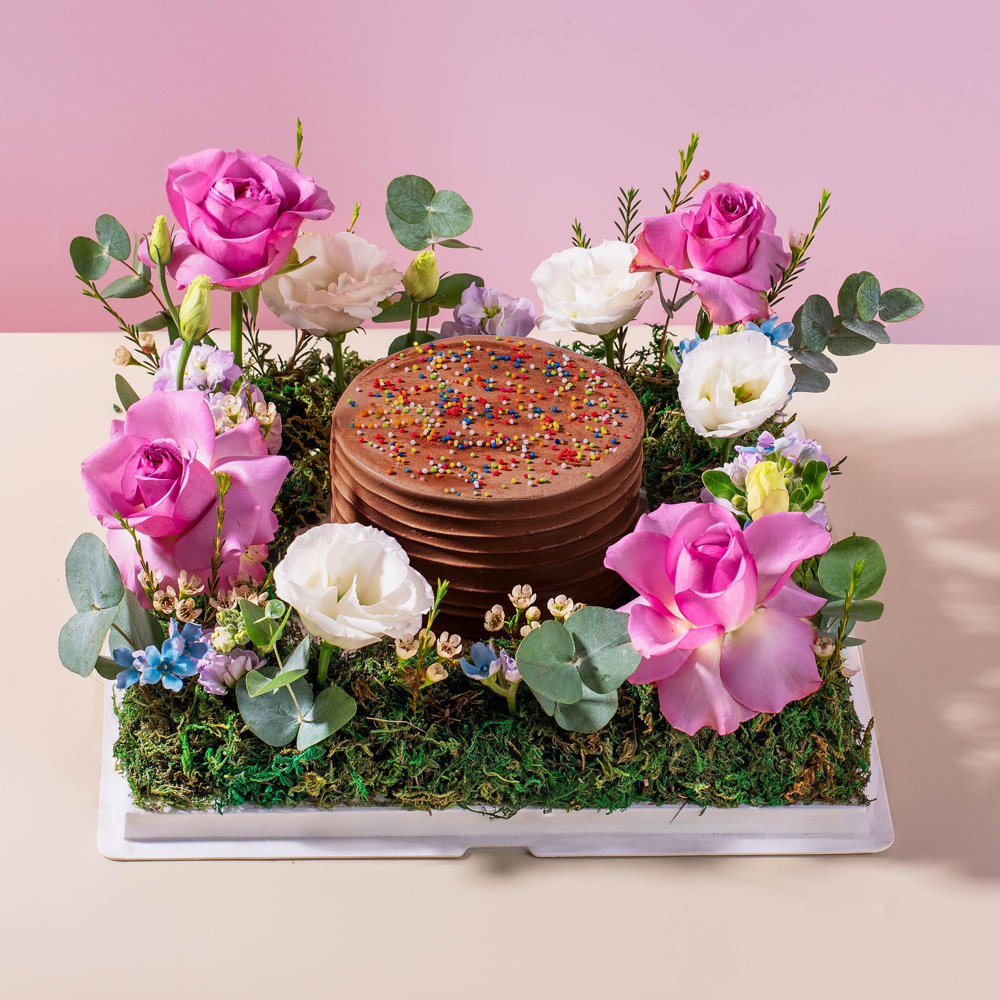 Cake Garden (Chocolate)